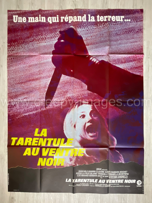Der schwarze Leib der Tarantel / La tarantola dal ventre nero – Französisches Grande / One-Panel
